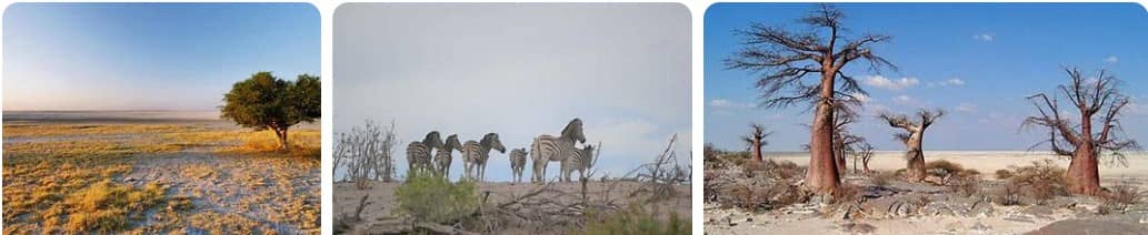 makgadikgadi-pans